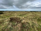 Caer Bran Hillfort - PID:247357