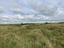 Manor Common North