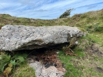 Sancreed Beacon Barrows - PID:247326