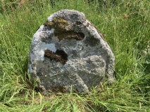 Newpark Cross