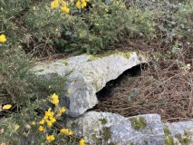 St Breock Beacon Kistvaen