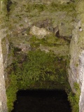 St Clether's Well