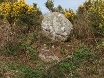 Trengwainton Cross