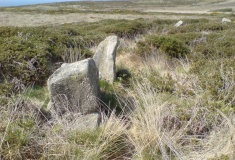 Porthmeor Circle