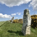 Nine Maidens Stone Row - PID:225702