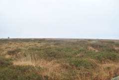 Porthmeor Circle