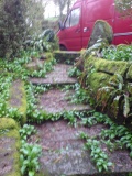 St Keyne's Well