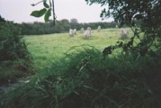 Boscawen-Un Stone Circle - PID:121410