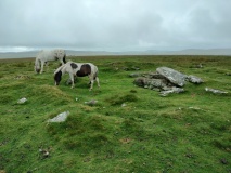 Buttern Hill Cairns