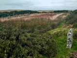 King Arthur's Hall - PID:176718