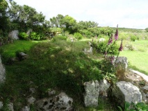 Carn Euny Village