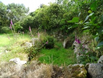 Carn Euny Village