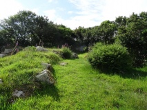 Carn Euny Village
