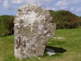 Chysauster - PID:14771
