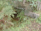St Euny's Well (Carn Brea) - PID:9580