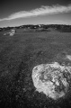 Carn Stabba - PID:86291