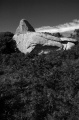 Carn Stabba - PID:86292