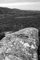 Carn Stabba - PID:86318