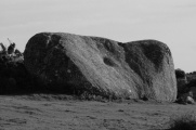 Carn Stabba - PID:86316