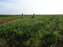 Drift Stones