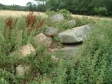 Carwynnen Quoit - PID:9233
