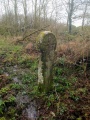 Trevease Cross - PID:209571