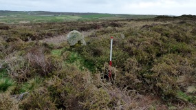Kenidjack Common holed stones