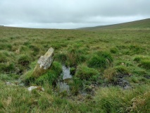 Buttern Hill row