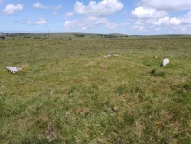 Whiteheads Standing Stone