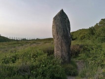 Dry Tree Menhir