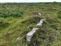Tonkins Downs