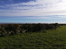 Halwyn Round