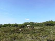 Little Kistles Kerb Cairn