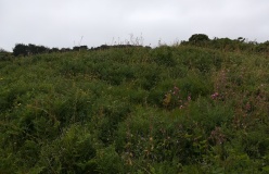 Middle Down Cairn