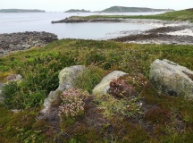 Middle Arthur Chambered Cairn