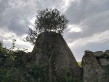 Chyangwens
