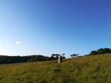 Click for full size image of Standing Stone to the East of Porthluney Bay (PID:274318) Standing Stone to the East of Porthluney Bay