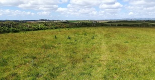 Dodman Point