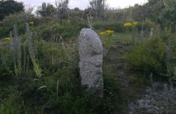 Phillack Towans Stone