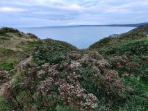 Rame Head