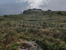 Rame Head