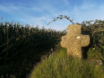Kemyel Drea Cross