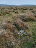East Moor stone row