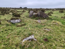 Fox Tor stone setting