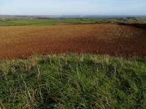 Roskruge Beacon