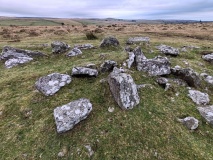Treswallock Downs - Bronze Age cairn cemetery
