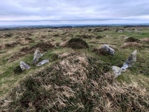 Treswallock Downs - Bronze Age cairn cemetery