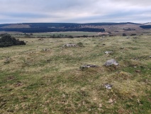 Carey Tor Settlement