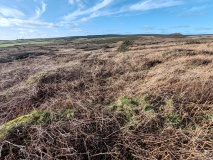 Bosiliack Huts N