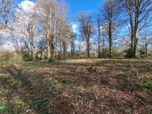Round Wood